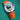 Orange Sailcloth Classic Strap