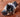 Testing Alt