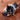 Testing Alt